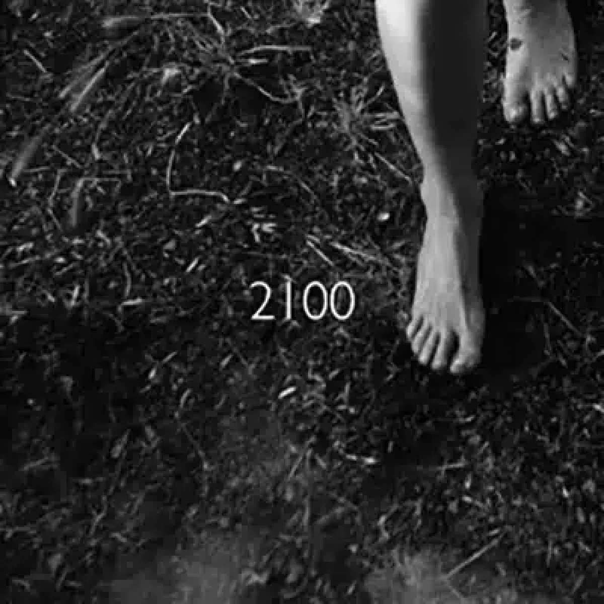 Marco Corrao, 2100