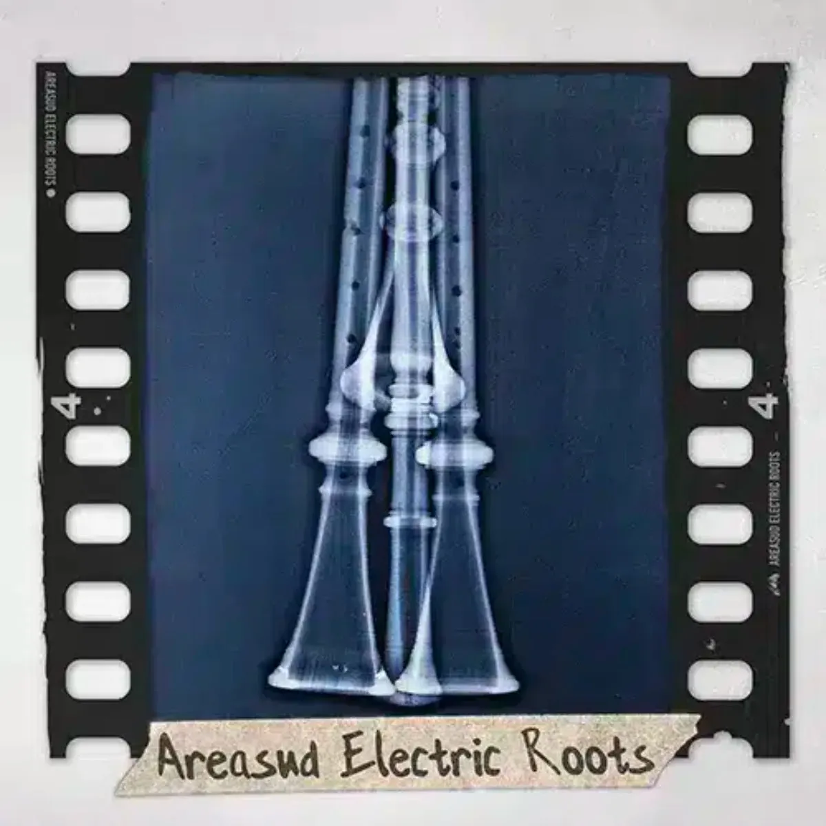 AREASUD ELECTRIC ROOTS · Areasud Electric Roots